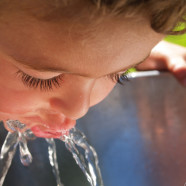 CWA Joins Other Water Retailers with Constructive Suggestions on Status of Drinking Water Program