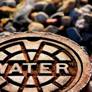 CWA Welcomes Release of Report On Takeover Costs