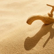 ‘Day Without Water’ Calls Attention to Needed Investments in Water Reliability