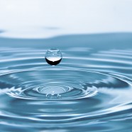 New Executive Team Members at San Jose Water Company and California American Water