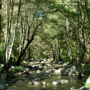 Monterey Aquifer Storage and Recovery Program Breaks All-Time Record