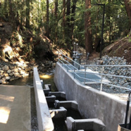 Cal Water Demonstrates Commitment to the Environment with New Fish Passage