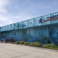 New Mural on California American Water Building Aids Transformation of Imperial Beach