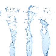 San Jose Water Company’s Annual Community Leadership Barbecue